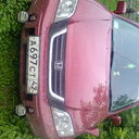 ���������� �����������, ���� ������� �������, 33 ����, ������������ 