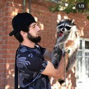 ���������� �����, ���� ������� Sultan, 29 ���, ������������ ��� ������, ����� � ���������