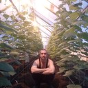 ���������� ��������, ���� ������� �������, 47 ���, ������������ ��� ������, ����� � ���������, c�������� ���������