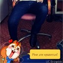 ���������� ����-���������, ���� ������� Temur, 33 ����, ������������ ��� ������, ����� � ���������, c�������� ���������, ���������