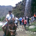  ,   Alisher, 35 ,   ,   , c 