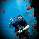 ���������� �����-���������, ���� ������� ���, 48 ���, ������������ ��� ������, ����� � ���������