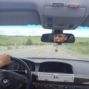 ���������� ������, ���� ����� �������, 23 ����, ������������ ��� ������, ����� � ���������, c�������� ���������, ���������