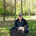  ,   , 51 ,     , 
