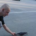 ���������� �����, ���� ������� ����, 39 ���, ������������ ��� ������