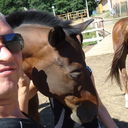  ,   Art Apple, 60 ,   