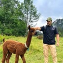 ���������� ������, ���� ������� �����, 33 ����, ������������ ��� ������, ����� � ���������