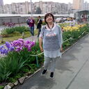  ,   , 62 ,   c 