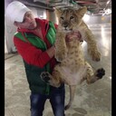 ���������� ������, ���� ������� ������, 46 ���, ������������ ��� ������, ����� � ���������, c�������� ���������