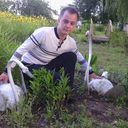 ���������� �����, ���� ������� �����, 36 ���, ������������ ��� ������