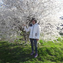 ���������� ���������, ���� ������� ����, 31 ���, ������������ ��� ������, ����� � ���������, c�������� ���������