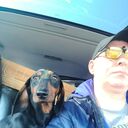 ���������� ���������, ���� ������� �������, 53 ����, ������������ ��� ������, ����� � ���������