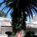 ���������� ����, ���� ������� ��������, 52 ����, ������������ ��� ������, ����� � ���������