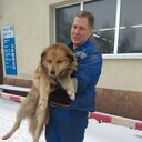  ,   Alexander, 43 ,   ,   , c , 