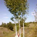 ���������� ������������, ���� ������� �������, 37 ���, ������������ ��� ����� � ���������, c�������� ���������