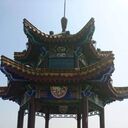  -,   , 51 ,   c 