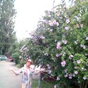  ,   , 65 ,   ,   , c 