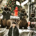  ,   , 31 ,   ,   , c 