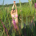 ���������� ��������, ���� ������� Venera33, 46 ���, ������������ ��� ������, ����� � ���������, c�������� ���������