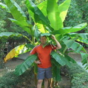 ���������� �����, ���� ������� ������, 40 ���, ������������ ��� ������, ����� � ���������, c�������� ���������