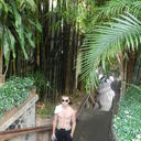 ���������� ���������, ���� ������� �������, 38 ���, ������������ 