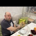  ,   , 36 ,     , c 