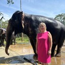 ���������� �����������, ���� ������� �������, 56 ���, ������������ ��� ������, ����� � ���������, c�������� ���������