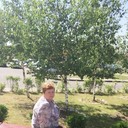  ,    , 63 ,   ,   , c 