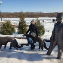 ���������� ������, ���� ������� ������, 27 ���, ������������ ��� ����� � ���������, c�������� ���������