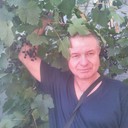  ,   Art, 55 ,   ,   , c 