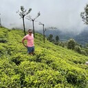 ���������� ������, ���� ������� �����, 37 ���, ������������ ��� ������, ����� � ���������, c�������� ���������