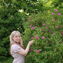 ���������� �����, ���� ������� ����, 45 ���, ������������ ��� c�������� ���������