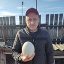 ���������� �����, ���� ������� ������, 45 ���, ������������ ��� ����� � ���������, c�������� ���������