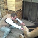 ���������� ������, ���� ������� ������, 37 ���, ������������ ��� ������, ����� � ���������