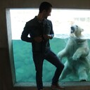  -,   ALEX, 38 ,     , c 