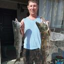 ���������� �������, ���� ������� ����, 36 ���, ������������ ��� c�������� ���������