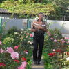  ,   , 65 ,   ,   , c 
