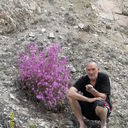 ���������� ������ ��������, ���� ������� ��������, 65 ���, ������������ ��� ������