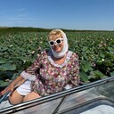  ,   , 55 ,     , 