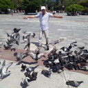  ,   , 50 ,   ,   , c 