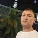 ���������� ������, ���� ������� Olim, 40 ���, ������������ ��� ������, ����� � ���������