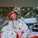 ���������� ���������, ���� ������� ��������, 38 ���, ������������ ��� ���������