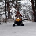 ���������� �����������, ���� ������� ������, 39 ���, ������������ ��� ����� � ���������, c�������� ���������