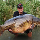  ,   BEK, 41 ,   ,   , c 