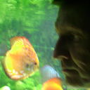 ���������� ������, ���� ������� ����, 65 ���, ������������ ��� ������, ����� � ���������, c�������� ���������