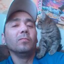 ���������� ������, ���� ������� ���������, 49 ���, ������������ ��� ������, ����� � ���������, c�������� ���������