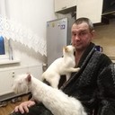 ���������� ������-��-����, ���� ������� ��������, 50 ���, ������������ ��� ������, ����� � ���������, c�������� ���������