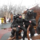  ,   , 43 ,   ,   , c 