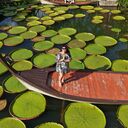 ���������� �������������-����������, ���� ������� �����, 46 ���, ������������ ��� ������, ����� � ���������