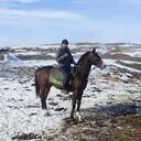 ���������� ������, ���� ������� �����, 44 ����, ������������ ��� ������, ����� � ���������, c�������� ���������, ���������